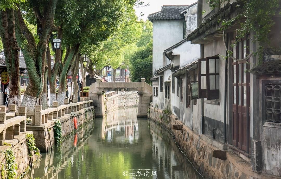 救援鹦鹉